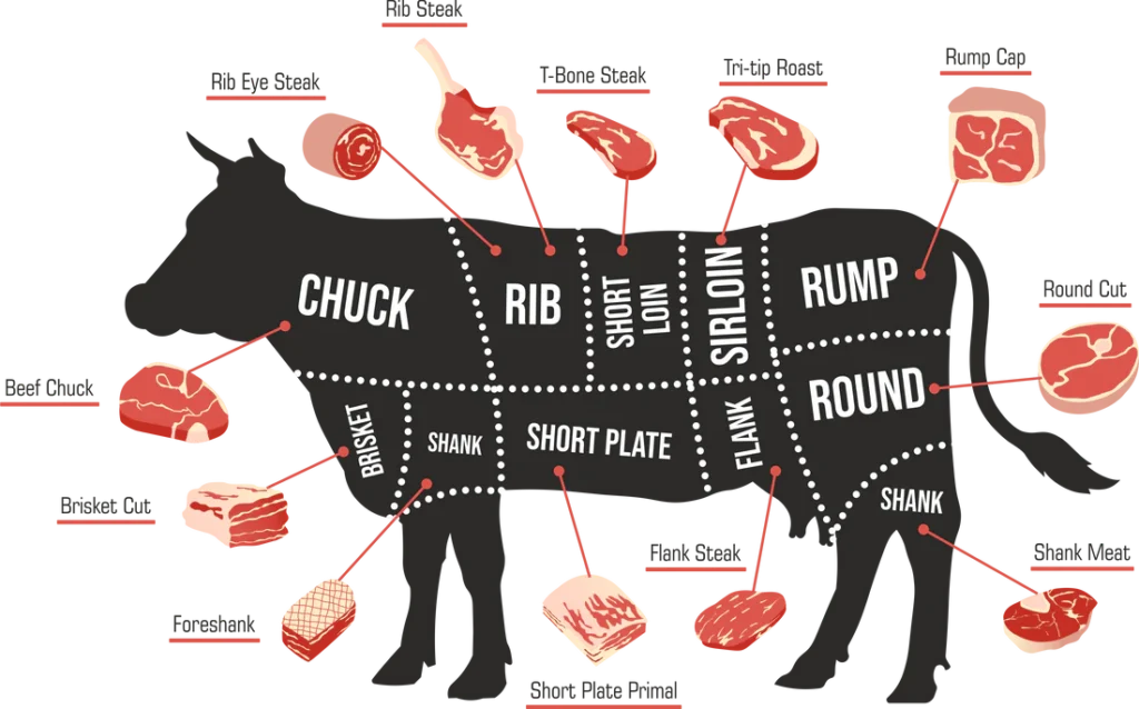 How to Grill Steak on Gas Grill - Different Steak Cuts